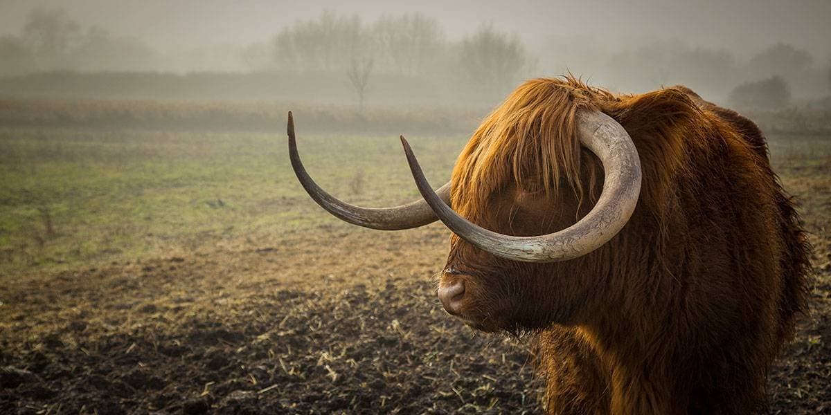 Kurumsal web siteleri, dijital ürünler ve güçlü yazılım altyapıları geliştiriyoruz.